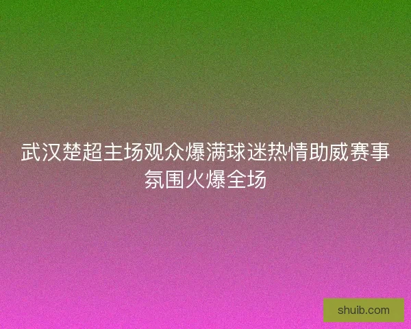 武汉楚超主场观众爆满球迷热情助威赛事氛围火爆全场