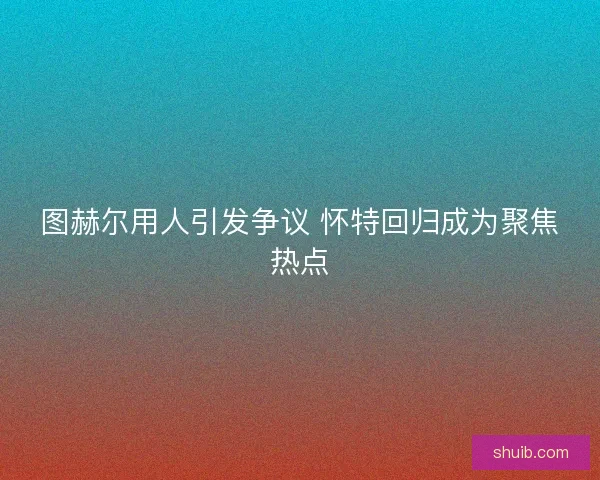 图赫尔用人引发争议 怀特回归成为聚焦热点 图赫尔用人引发争议 怀特回归成为聚焦热点