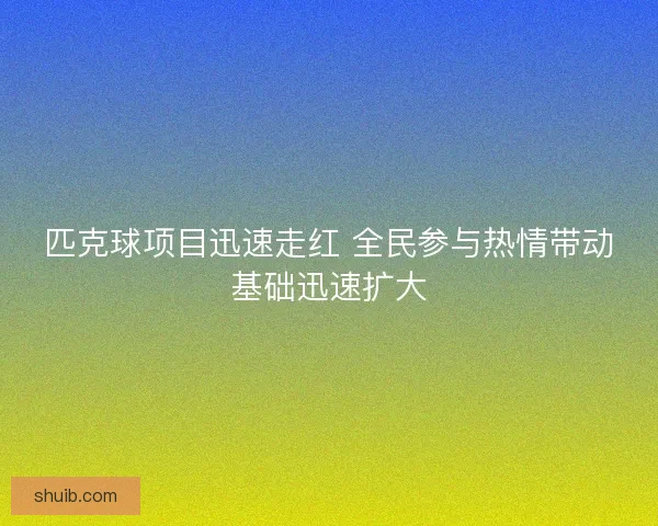 匹克球项目迅速走红 全民参与热情带动基础迅速扩大 匹克球项目迅速走红 全民参与热情带动基础迅速扩大